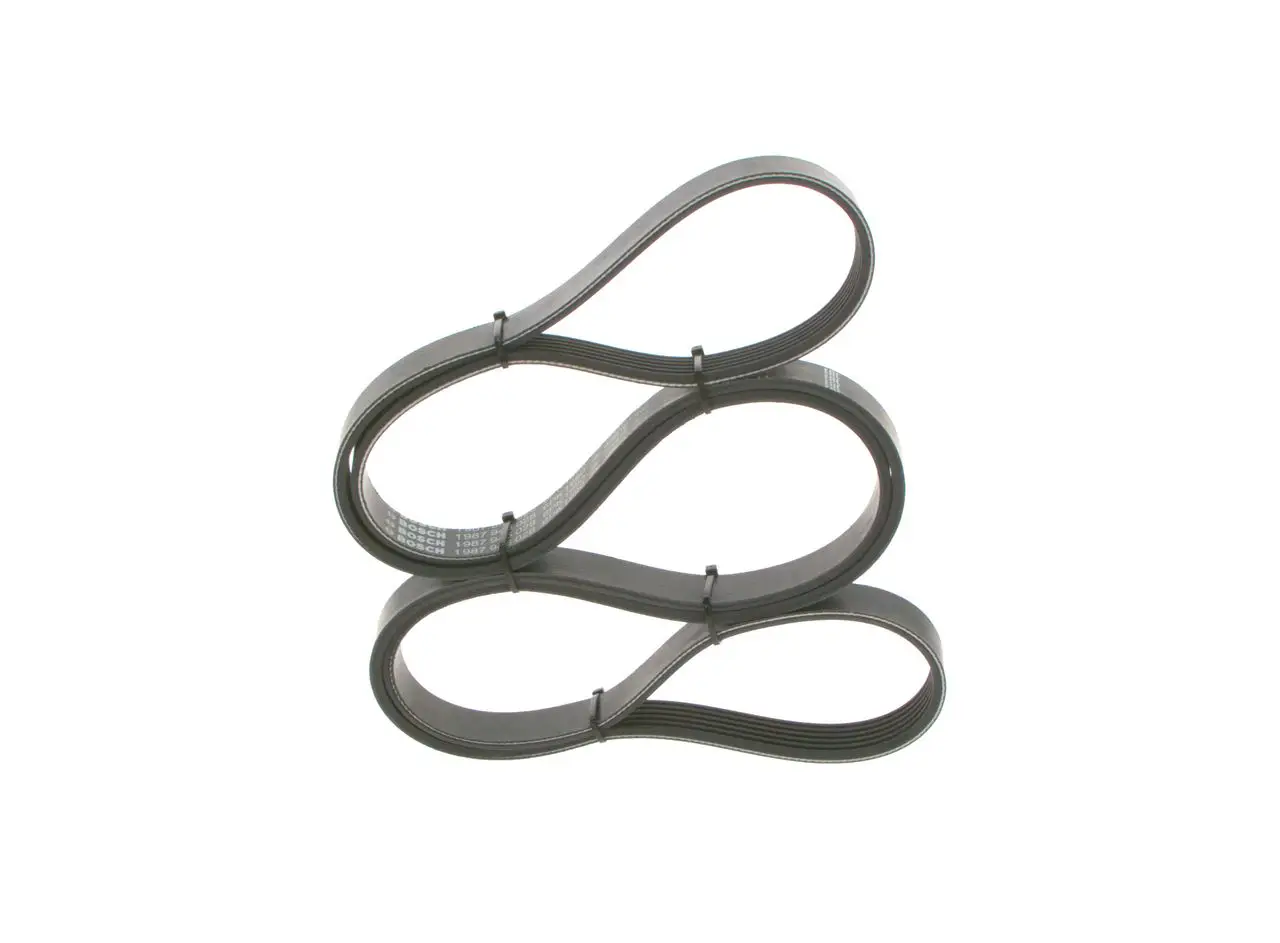 BMW E60 525xi N52 Grooved V Belt | BOSCH 1987946028