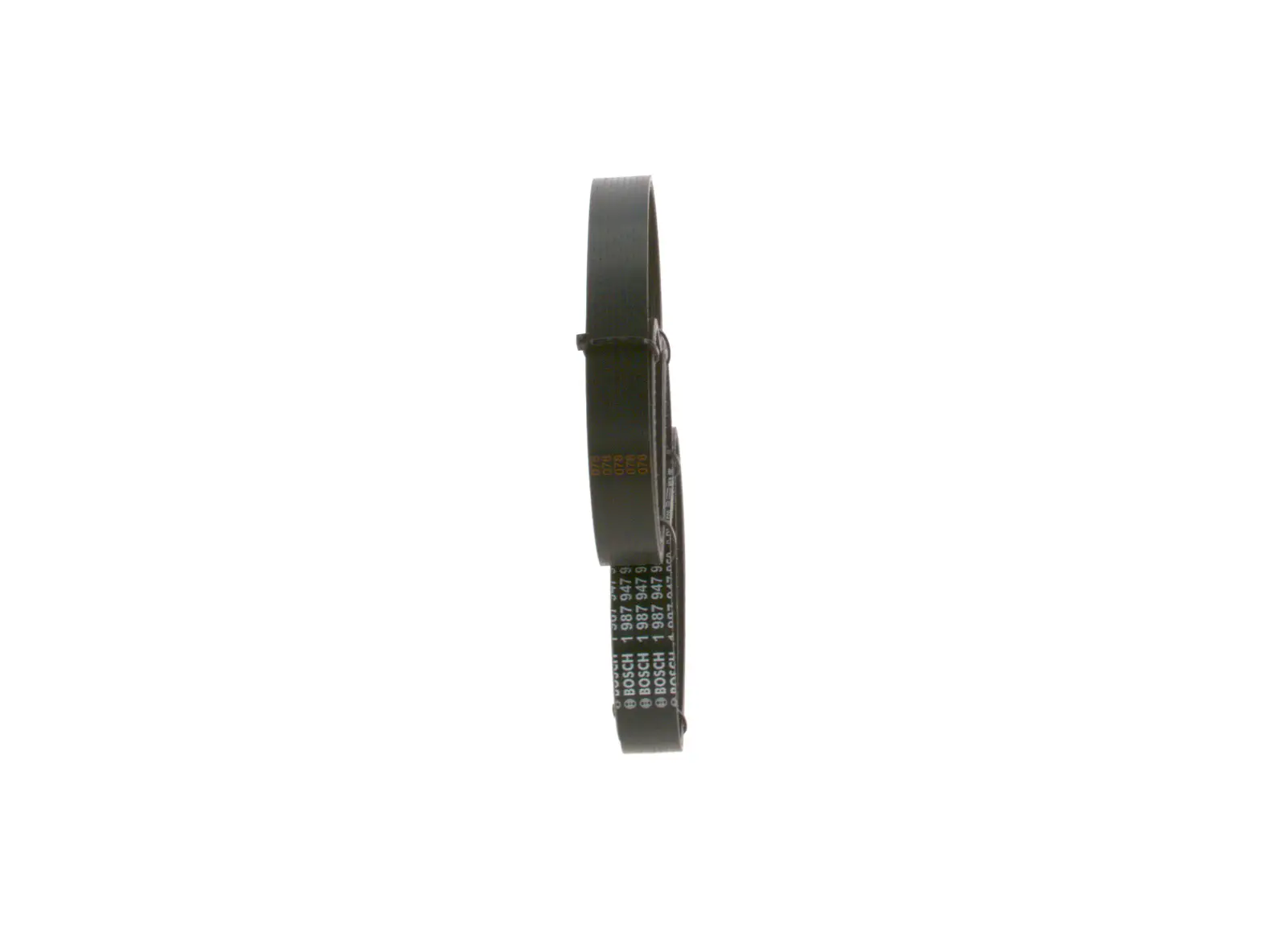 BMW E60 525i M54 Grooved V Belt | BOSCH 1987947950