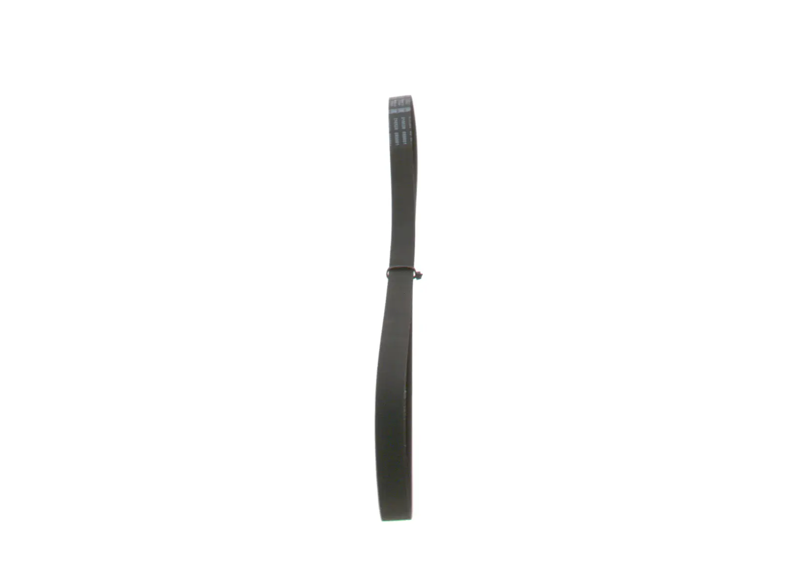 BMW E46 316i N42 Grooved V Belt | BOSCH 1987948400