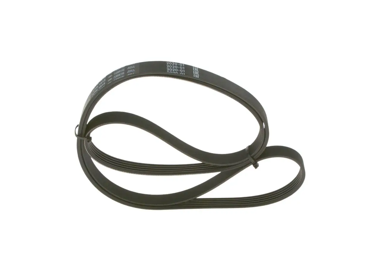 BMW E39 525td 256T1 Grooved V Belt | BOSCH 1987948482