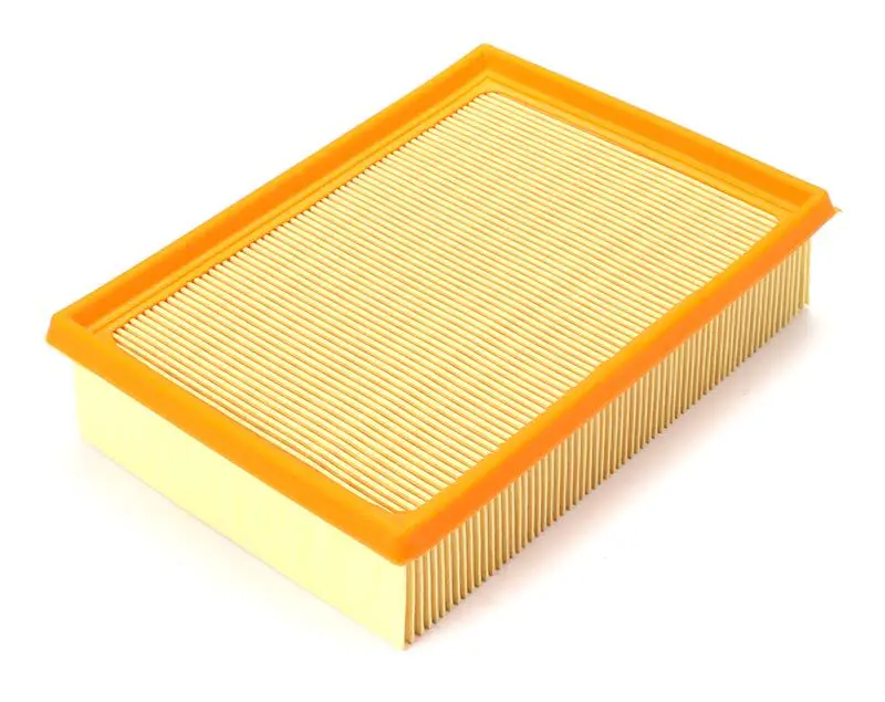 BMW E46 M43 M52 Air Filter | BSG 15-135-002