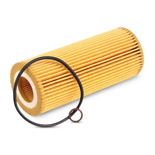 BMW 5 Series E60/61 520 d Editon Fleet M47 Oil Filter | BSG 15-140-013