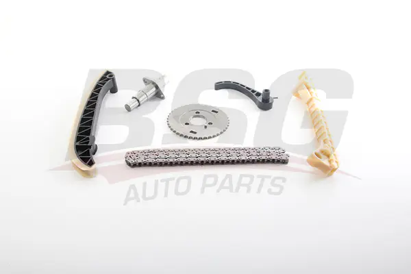 Mercedes A Serisi W169 Eksantrik Zincir Seti | BSG 60-102-013