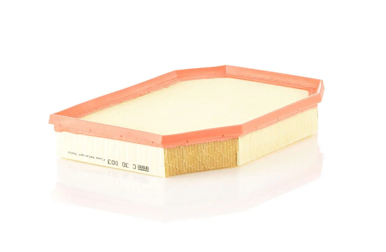BMW 5 Series F10 F11 530i Air Filter | MANN C 30003 BMW 5 Se