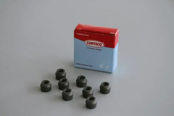Mercedes W251 M113 Supap Lastik Seti | CORTECO 19025686