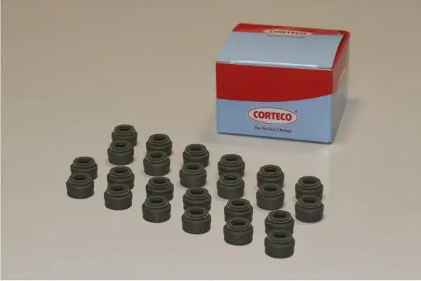 Mercedes W124 M104 Valve Tire Set | CORTECO 19036424