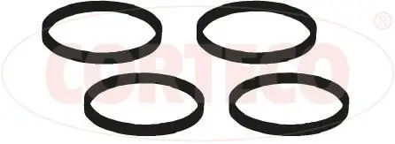 BMW 1 Serisi F20 N13 Emme Manifold Contası | CORTECO 49114985