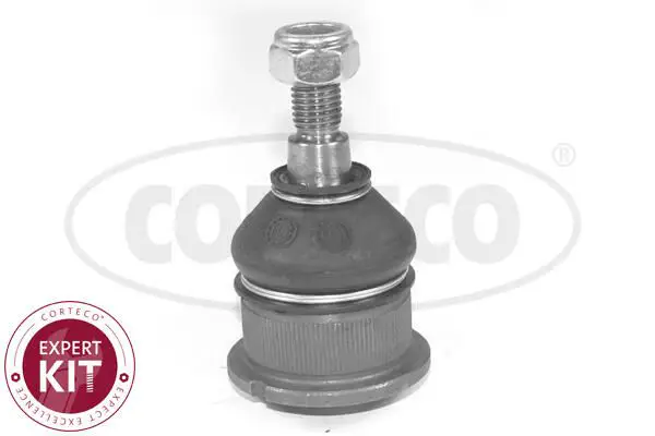 BMW 3 Serisi E30 Rotil | CORTECO 49399251