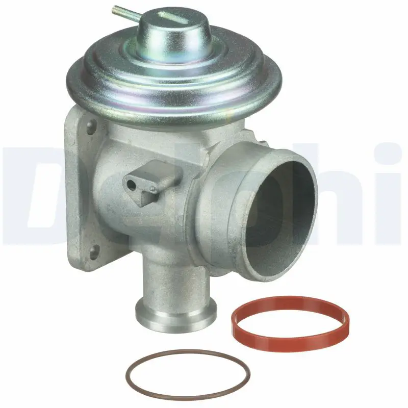 BMW 3 Series E46 M47 EGR Valve | DELPHI EG10464-12B1