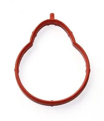 Bmw E46 Manifold Gasket | Elring 359.370