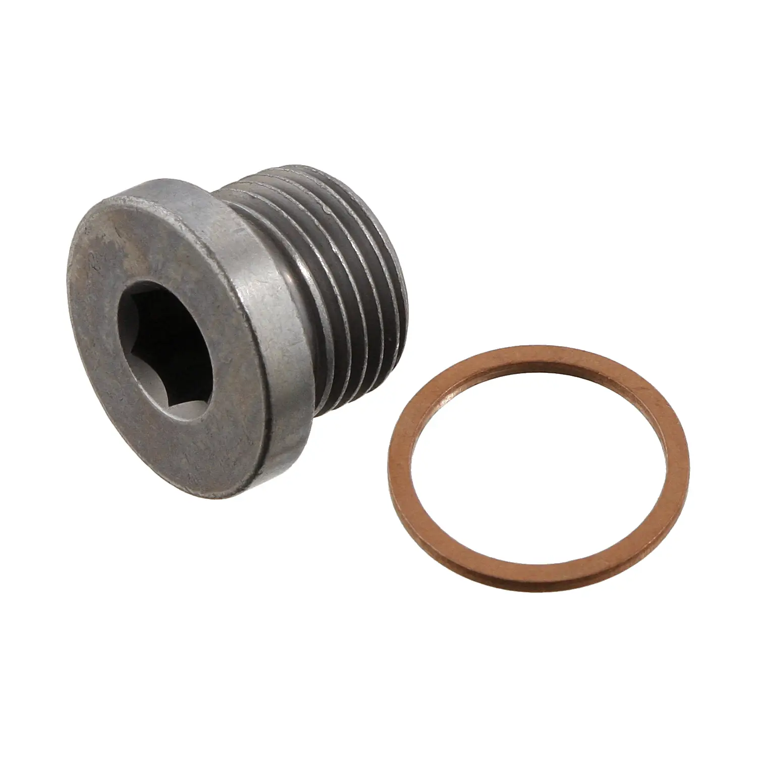 BMW 7 Series F01/F02/F03/F04 Oil Drain Plug | FEBI 48895