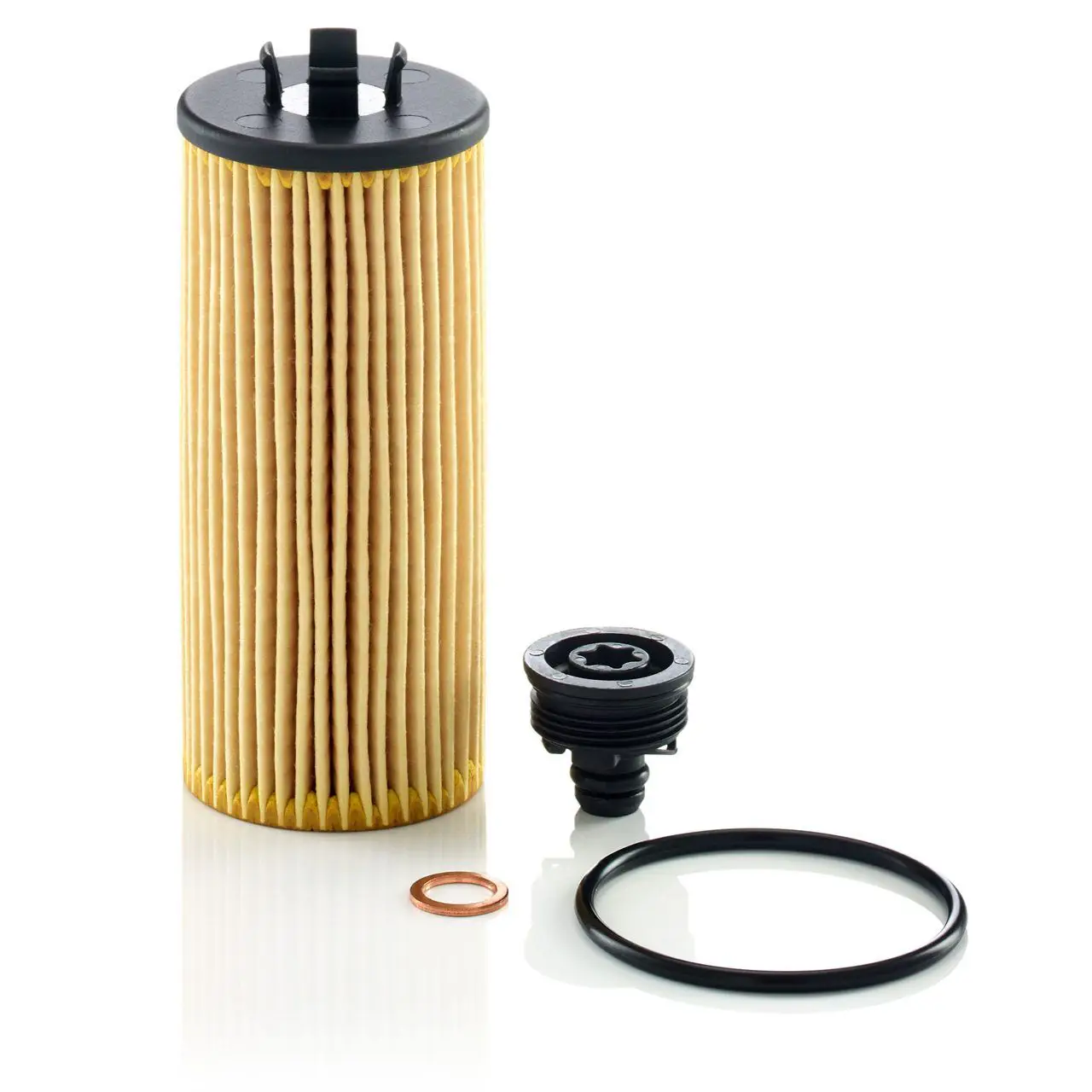 BMW 1 Series 118 120 Hybrid B38 Oil Filter | MANN HU6015z KİT