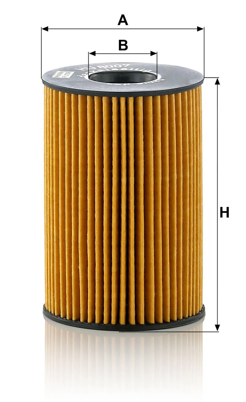 BMW F10 550i N63 Oil Filter | MANN HU 8007Z