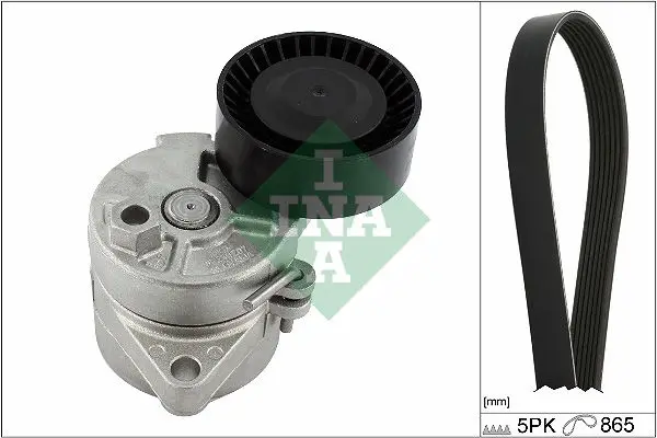 BMW 5 Series E39 520i Serpentine Belt Set | INA
