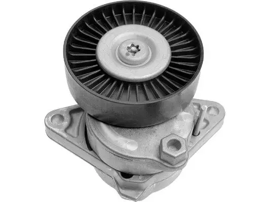 Mercedes E-Class W211 E 320 Belt Tensioner | INA
