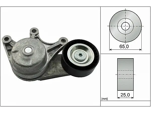 BMW X4 (F26) 20 dX Complete Belt Tensioner | INA