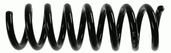 Mercedes CLS Serisi W219 CLS 300 OM642 Arka Helezon Yay | SACHS 994 083