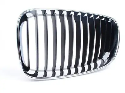 BMW 1 Series E87 Left Grille 2008-11 | ITHAL