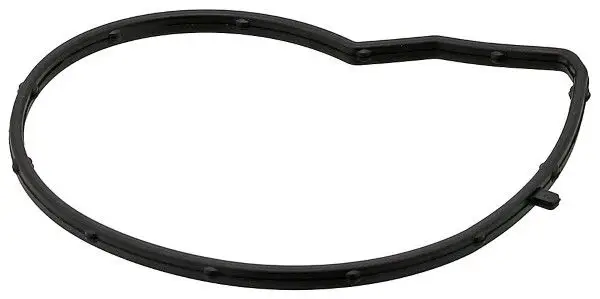 BMW F20 N13 Water Pump Gasket | ELRING 387.590 Spare Part