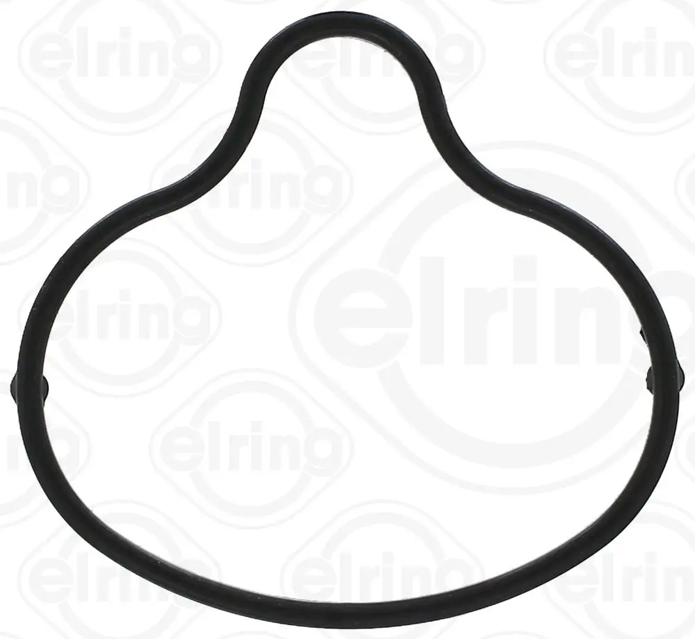 BMW 5 Series E60 S85 Intake Manifold Gasket | ELRING 727.920