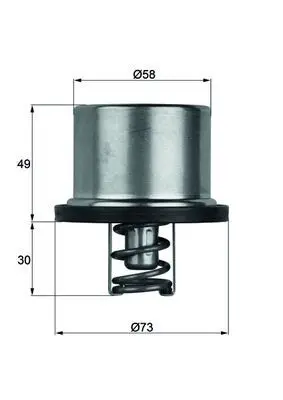 BMW 3 Series E90 S65 Thermostat | MAHLE THD 1 79