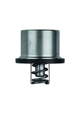 BMW 5 Series E60 S85 Thermostat | MAHLE THD 1 79