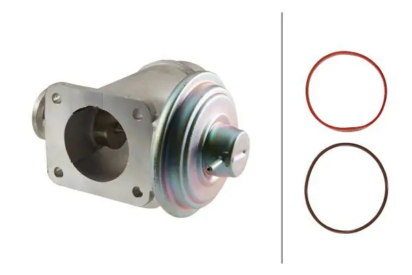 BMW 5 Serisi E60 M57 EGR Valfi | HELLA 6NU 010 171-921