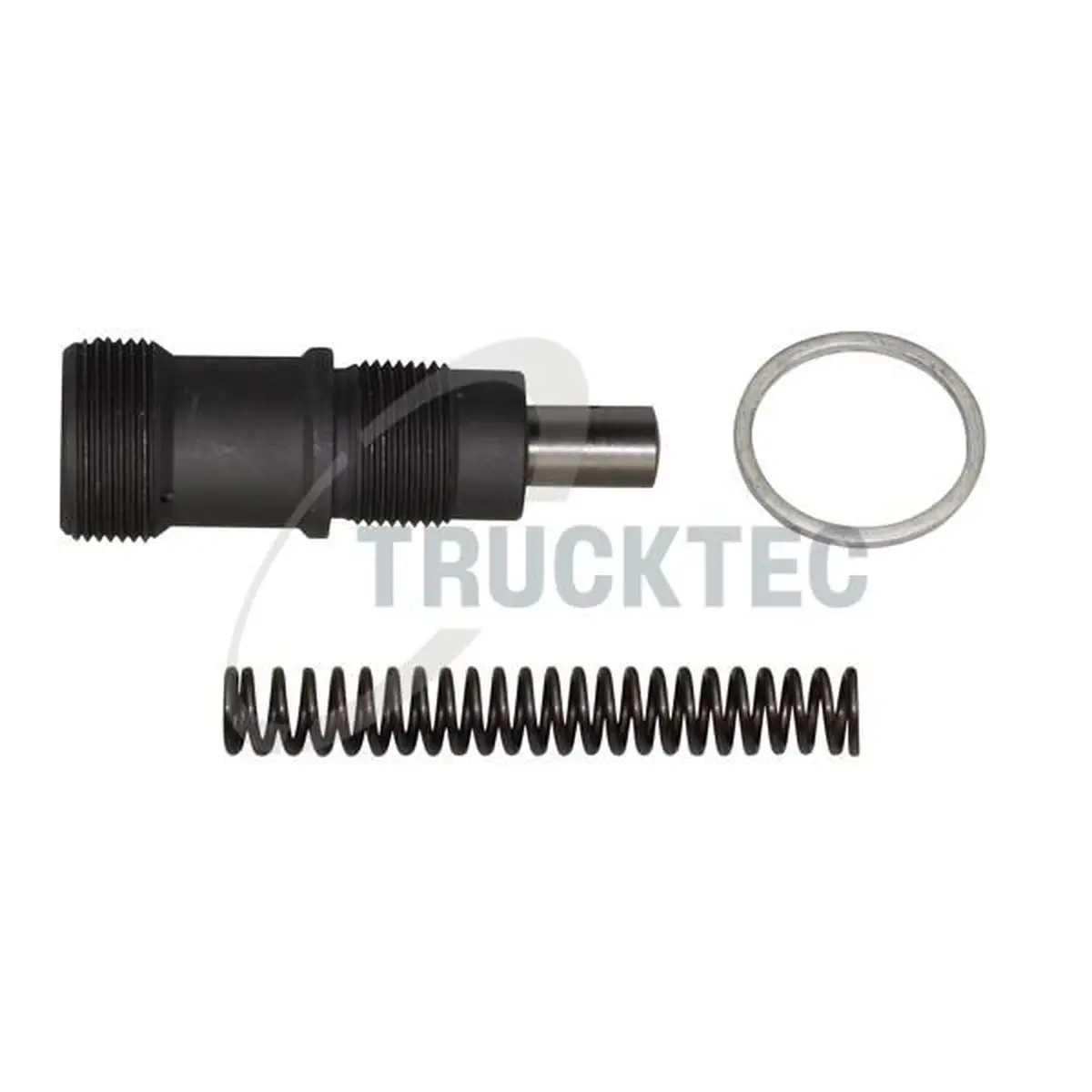 Mercedes E Serisi W124 M102 Zincir Gergisi | TRUCKTEC 02.12.012