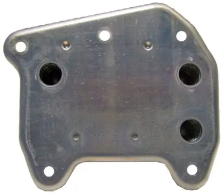 Mercedes E Serisi W210 OM611 Motor Yağ Soğutucusu | MAHLE CLC 52 000P