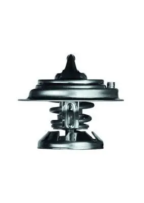 Mercedes C Series W202 OM605 Thermostat | MAHLE TX 29 85D