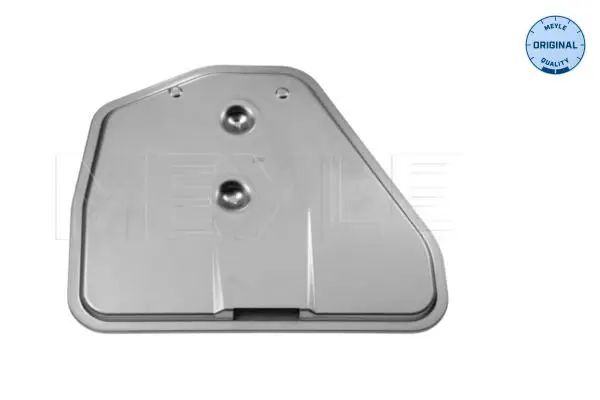 BMW X5 Serisi E53 2000-2006 Şanzıman Filtresi | MEYLE 314 316 0001
