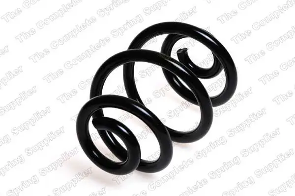 BMW 3 Serisi E46 1997-2006 Helezon Yayı Arka | LESJOFORS 4208431