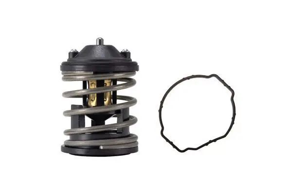 BMW 5 Serisi E60 2001-2010 N47 Termostat | BEHRMAHLE TX16387D2