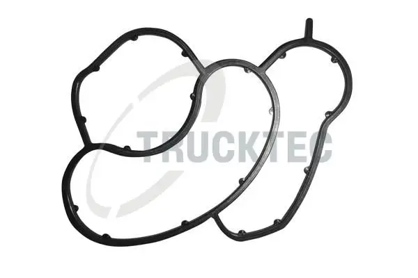 BMW 5 Serisi E60 2001-2010 N42 Yağ Filtre Contası | TRUCKTEC 0810054