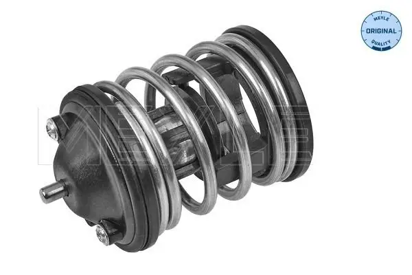 BMW 5 Serisi E60 2001-2010 N47 Termostat | MEYLE 328 228 0010
