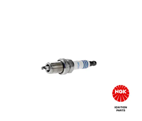 BMW 3 Serisi E46 N42 Buji | NGK 1565