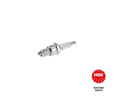 Mercedes W123 Kasa M123 Buji | NGK 7529