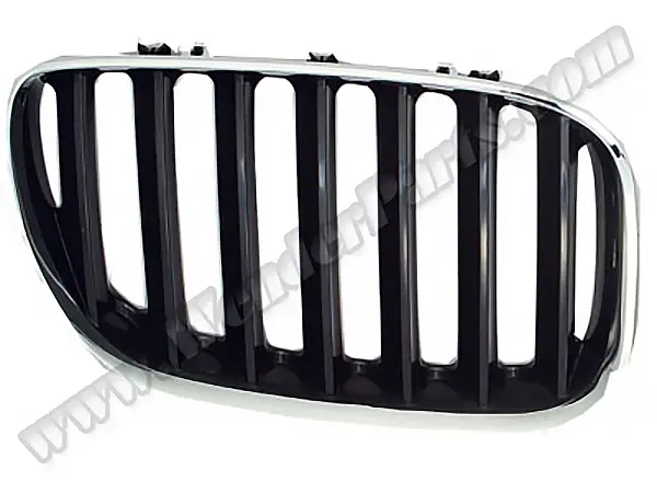 BMW X5 E53 Panjur Sağ Krom/Siyah | WENDER BA51137113734