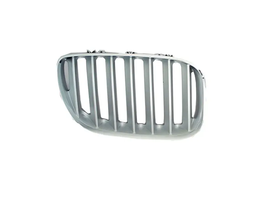 BMW X5 E53 Panjur Sağ Krom/Titan | WENDER BA51137124816