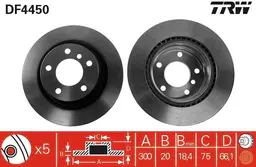 BMW 3 Serisi F30 320i N13 Arka Fren Diski | TRW DF4450