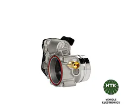 BMW X3 Serisi F25 N20 Gaz Kelebeği Gövdesi | NGK 94737