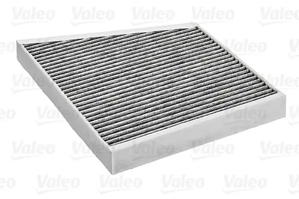 Mercedes CLS Serisi W219 Polen Filtresi | VALEO 698741