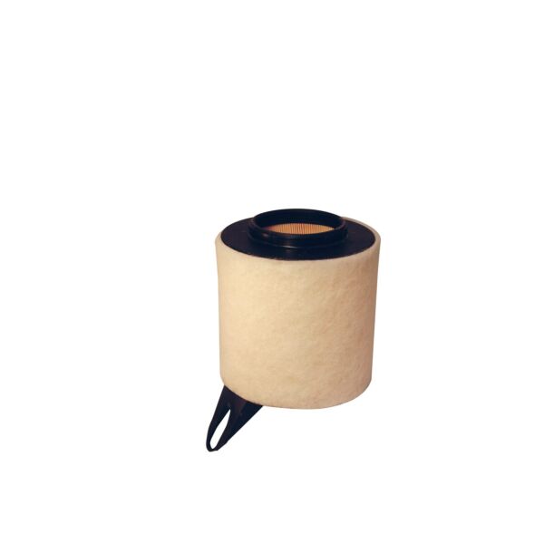 BMW 116i 118i E81/E87 N43 N45 Hava Filtresi | FILTRON AK362/3