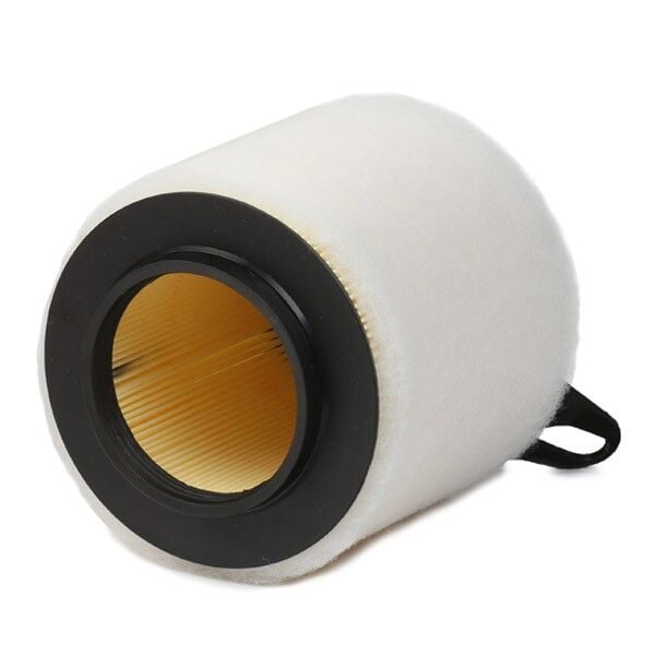 BMW 116i 118i E81/E87 N43 N45 Hava Filtresi | FILTRON AK362/4