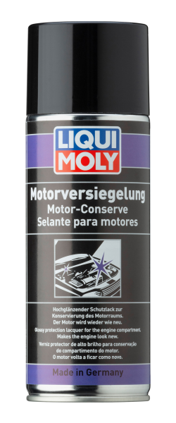 Liqui Moly Engine Gloss Paint Motor Yüzeyi Koruma Cilasi (LQM-3327)