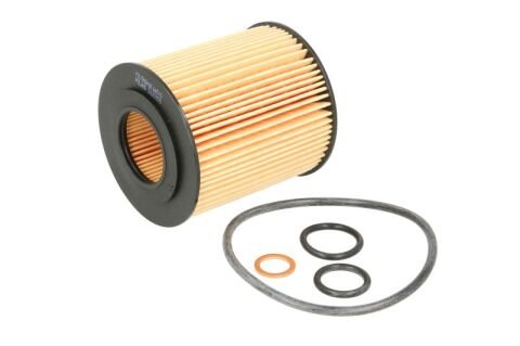 BMW 3 Serisi E90/E92 316i N43 Yağ Filtresi | FILTRON OE649/6
