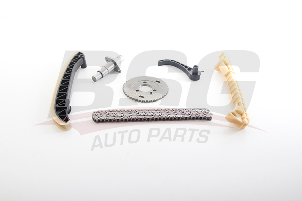 BSG 60-102-013 | Mercedes A Serisi W169 Eksantrik Zincir Seti