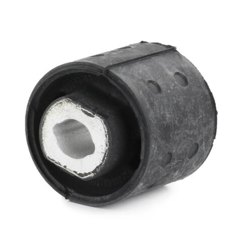 BMW 3 Serisi E46 Defransiyel Burcu | LEMFORDER 2138201