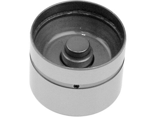 BMW 7 Serisi E65 730i Supap İtici | INA 420 0049 10