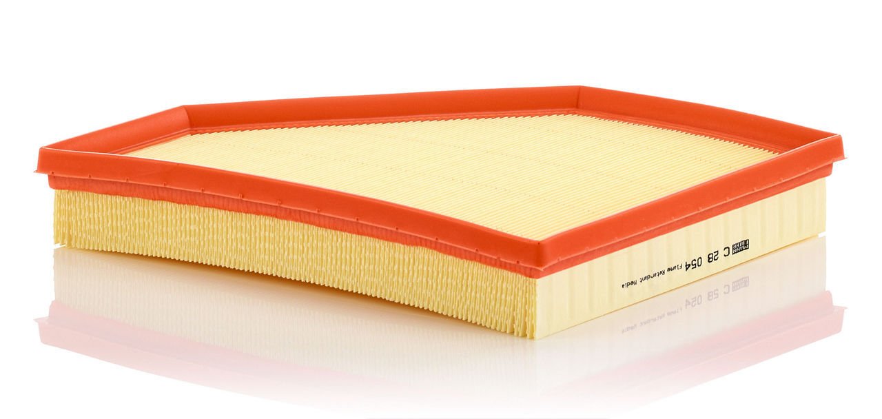 BMW 3 Serisi G20, G21 330i B48 Hava Filtresi | MANN C 28054